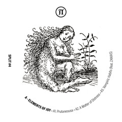 Elements of Joy - Nemesis [Pi Electronics]