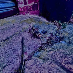 Zkorpion- RIP OZZY (TUV & CASH BENTLY SONG WAR)