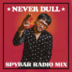NEVER DULL : SPYBAR RADIO MIX (July 2025)