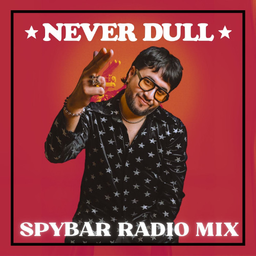 NEVER DULL : SPYBAR RADIO MIX (July 2025)