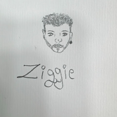 [Ziggie] - Echo of Resurgence