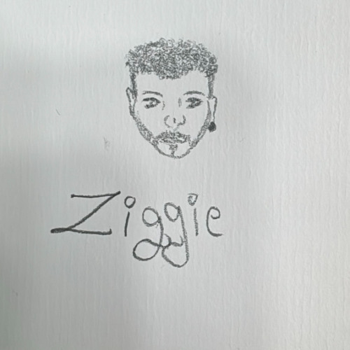 [Ziggie] - Echo of Resurgence