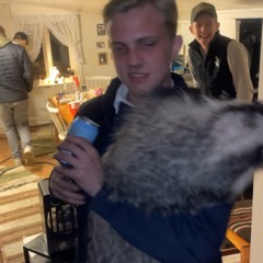 Grävlinga Ted