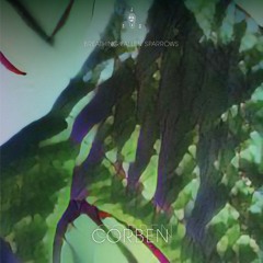 Corben - Breathing Fallen Sparrows (Album Preview)