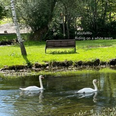 Riding on a white swan