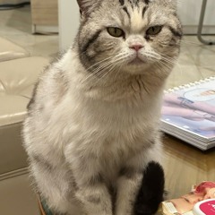 Nonstop Atula Vol 3 - D.E Rmx Cột Mốc 2025