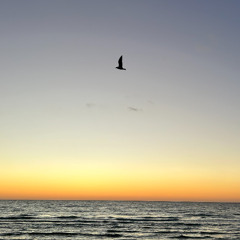 Fallin