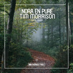Come Away(feat. Tim Morrison)