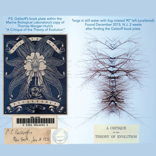 Cārukeśī - Tabula Rasā - Bela Fleck - Vishwa Mohan Bhatt - Jie-Bing Chen