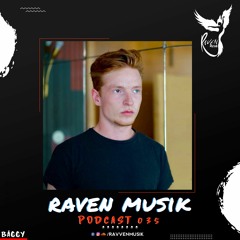 Raven Musik Podcast 035 | Bäggy (DE)
