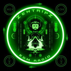 ZENTRIPZ EDM RADIO WMNF GUEST SELEKTA CHANG