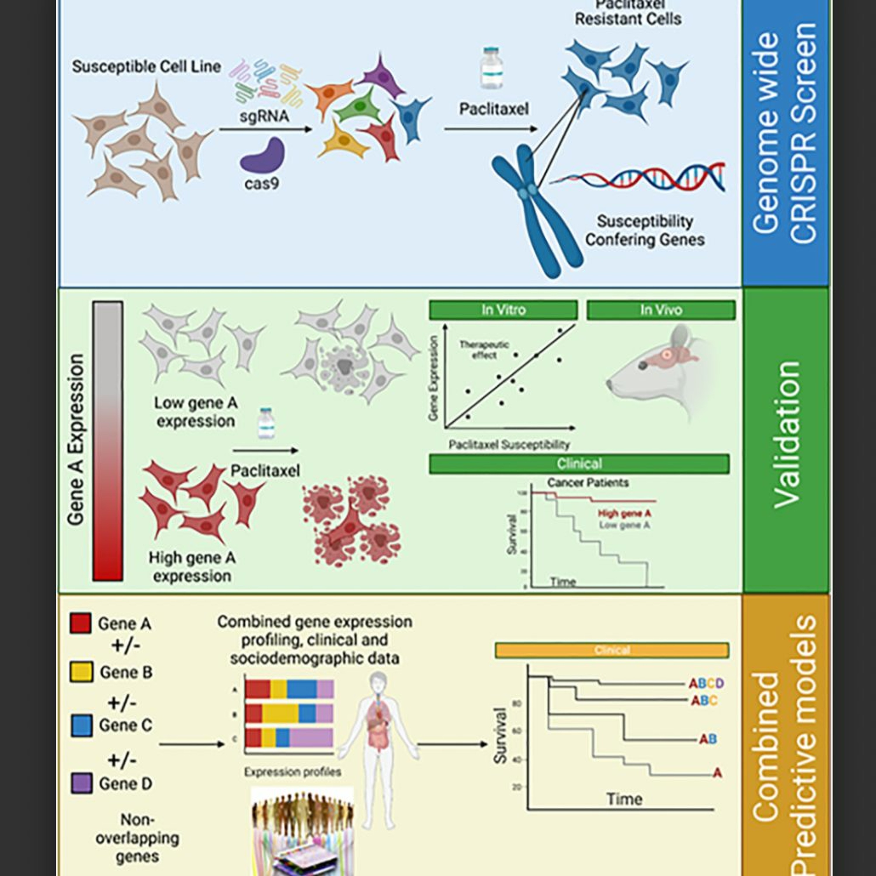 Oncotarget