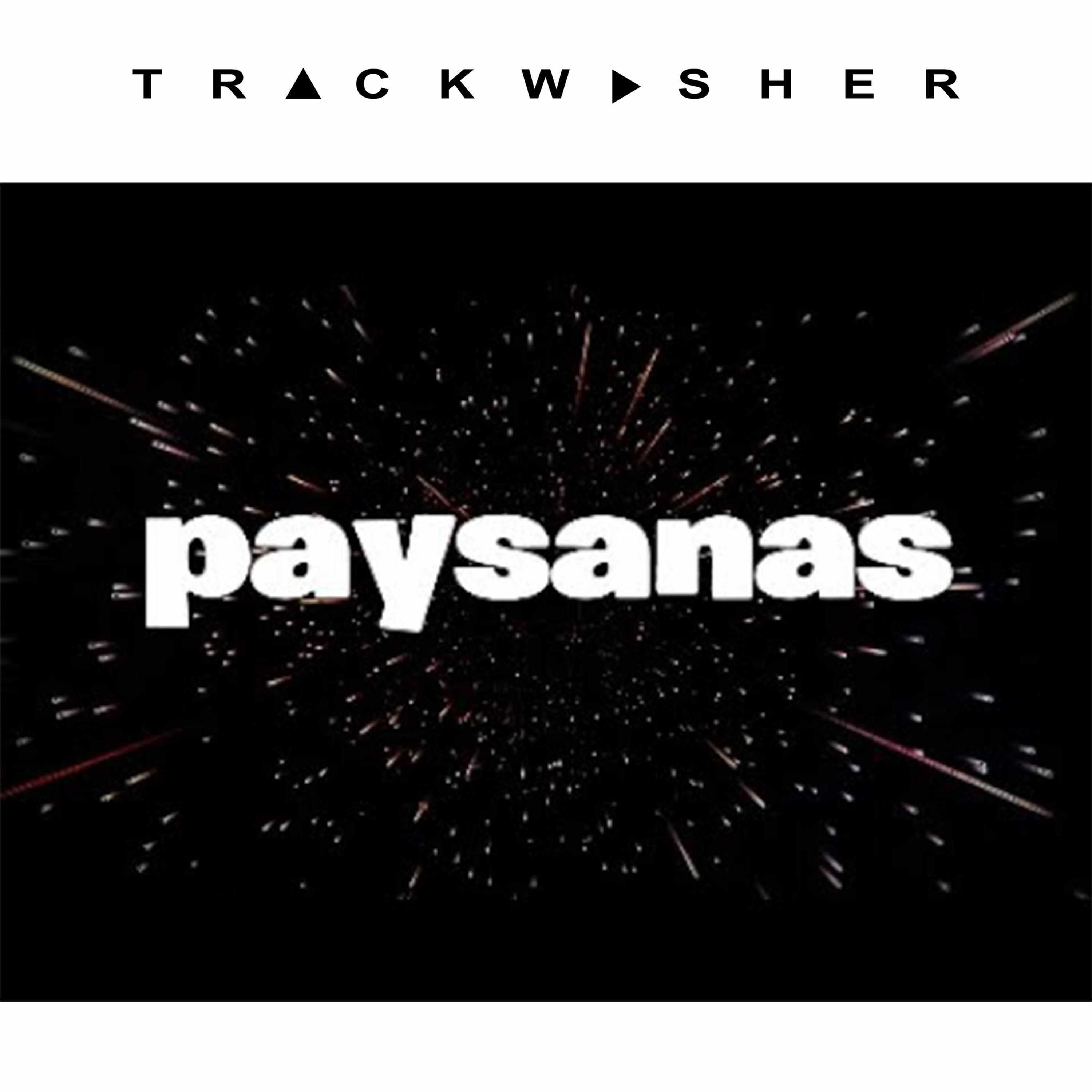 trackwasher