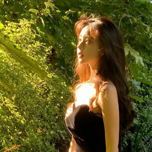 họ yêu ai mất rồi