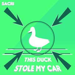 This Duck Stole My Car - VIRUS