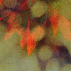 lyser - recurse capricornian motion