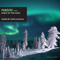 Magik Eight - DJ Tiësto Tribute Set