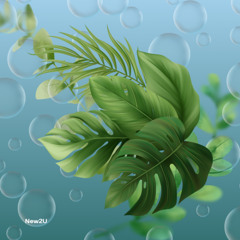 New 2 U