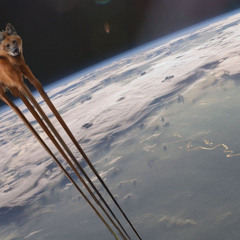 Vast spaces (analog)