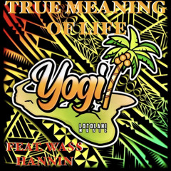 Yogi_Music89 - True Meaning of Life Ft. Wass Hannin