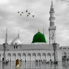 الفصل الثامن من بردة البوصيري - عبد الرحمن حسين