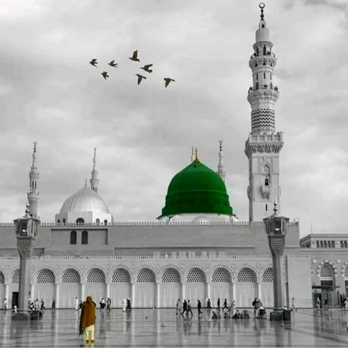الفصل الثامن من بردة البوصيري - عبد الرحمن حسين