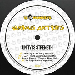 [13MRLP002] Various Artist - Unity Is Strength - BUY 12" VINYL