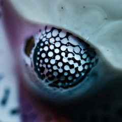 Substance Freak -150 A