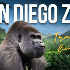 Review Special Price San Diego Zoo 1-Day Pass: Any Day Ticket