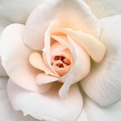 For your Relaxation