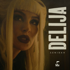 Senidah - Hold On Delija (Todos Mashup)