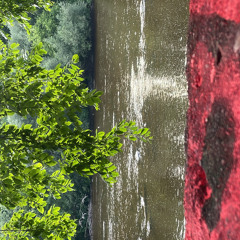 Untitled 5 - 7/29/24, 8.18 PM.m4a