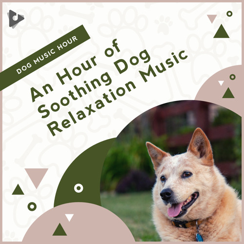 what-type-of-music-soothes-dogs