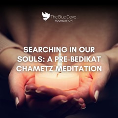 Searching in Our Souls: A Pre-Bedikat Chametz Meditation