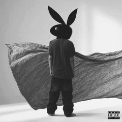 PLAYBOY (feat. vMati)