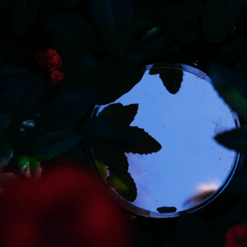 Finn Askew - Roses (Prof. Oak Bootleg) [FREE DL]