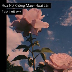 Hoa Nở Không Màu - Hoài Lâm (Ekid Lofi Ver.) | Lofi Vietnam