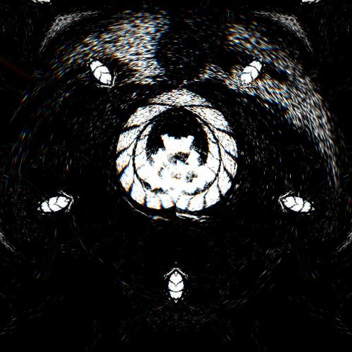 Echo Damage