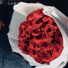 انتِ اعظم انجازاتي ونشيد العاشقين karim_tarek7 بدون موسيقى