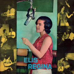 elis regina - formiguinha triste (dnb mix)