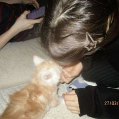 meowsic *kness
