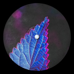 OBu - Organique