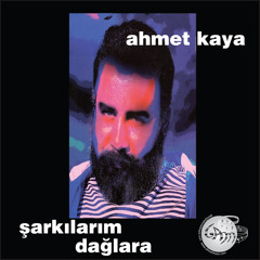 Ağladıkça