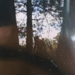 XXXtentacion - Skin ( Slowed to perfection )
