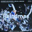 Sander Van Doorn X Selva X Macon - Raindrops (feat. Chacel) (Jasper Stevens Remix)