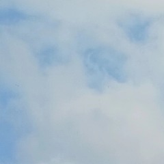 Skylight