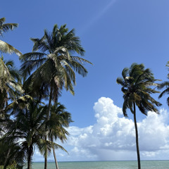 Set Me Free (Meek Remix)