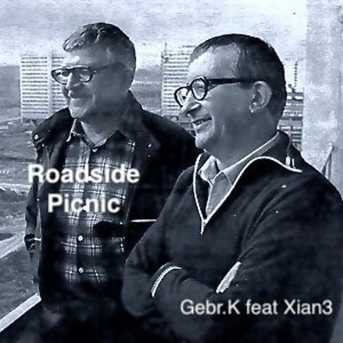 Roadside Picnic (Xian3 feat. Gebr.K)