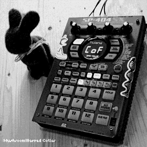 MushroomWavved Collar - etherlivemix 2023 [ETH18]