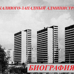 биография (твоя подруга упала на пандус)